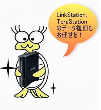 kamemaru-terastationの画像