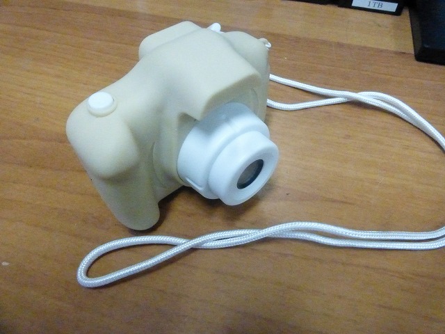 トイカメラ復旧1