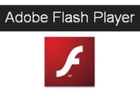 flashplayer画像