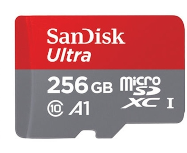 microsd256GB画像