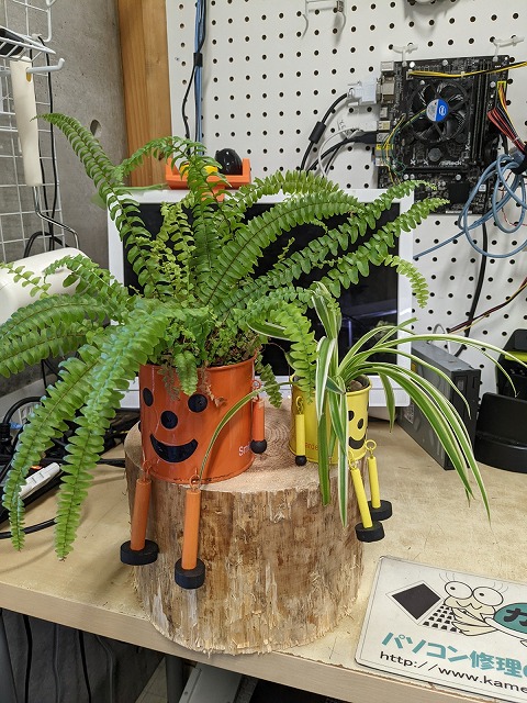 植物2