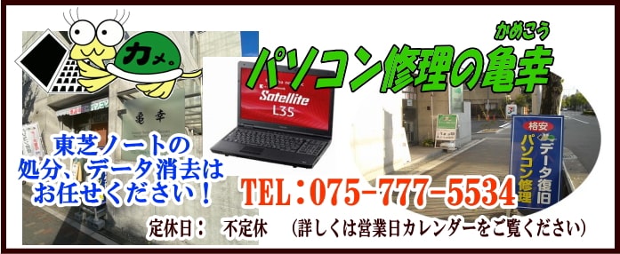 p\RC̋TKCS-X}zp