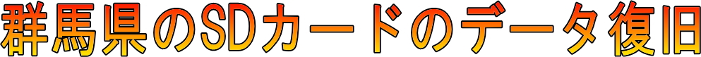 群馬のSDカードのデータ復旧